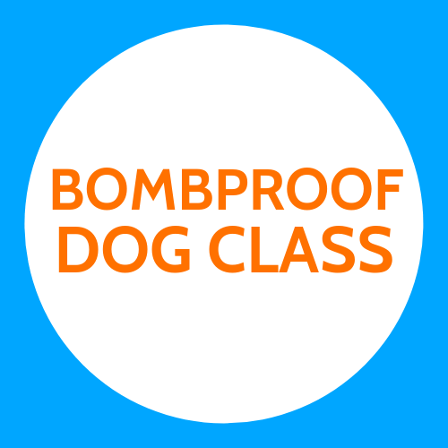 Bombproof Dog Class