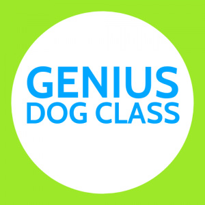Genius Dog Class