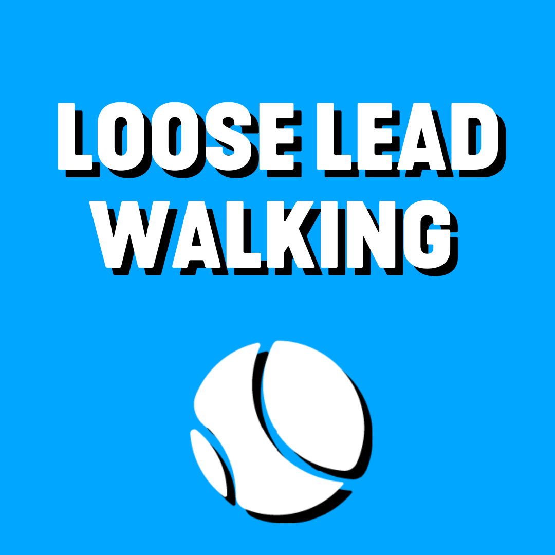 Loose Lead Walking